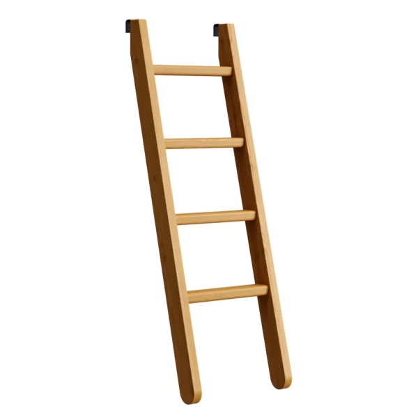 A4700-ladder-long-angle