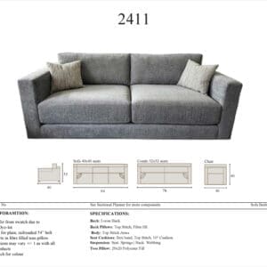 2411 info sheet